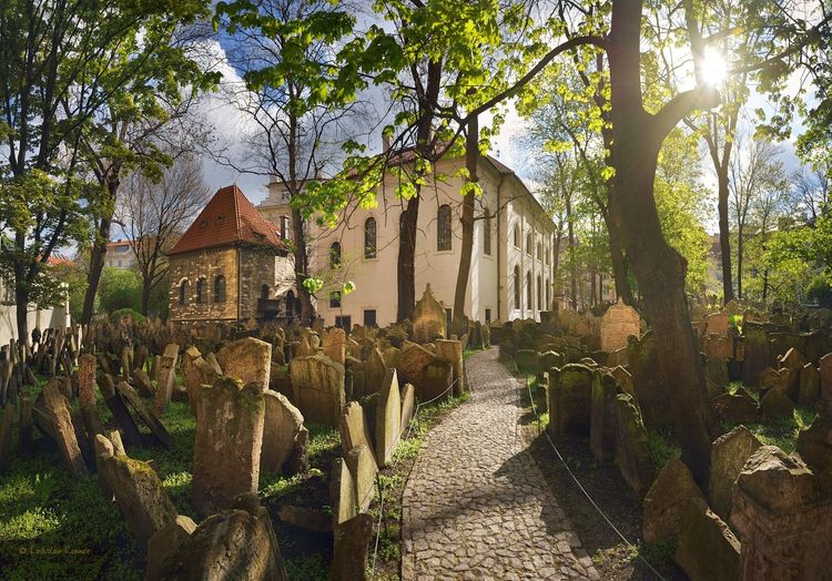 Obradni sin, Klausova a hrbitov denni 1.jpg